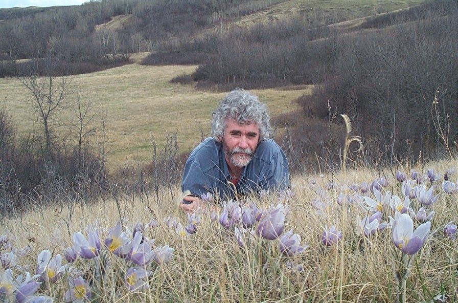 Norm Walker with crocus friends - 1