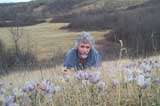 Norm with crocus friends