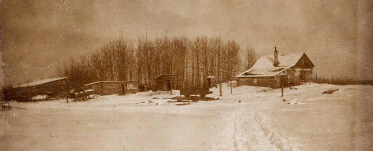 The Cabin in Minnesota